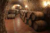 Bodega Renalterra, vinos con enominacin de origen en un entorno del siglo XIV 